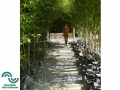 Mauern / Treppen / Wege
