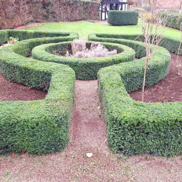 Formschnitt von einer Beeteinfassung