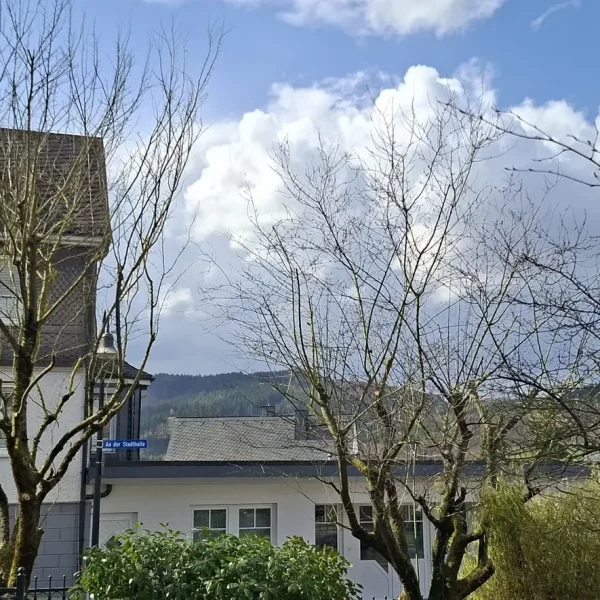 Gehölzschnitt nachher