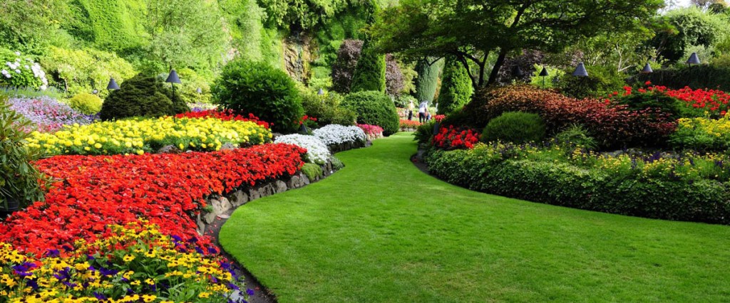 Gartengestaltung von Erdmann Gartenbau